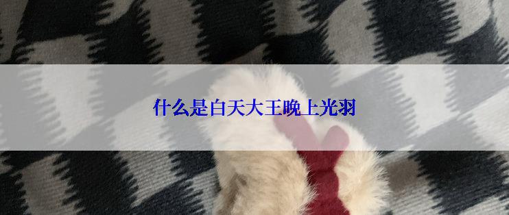 什么是白天大王晚上光羽