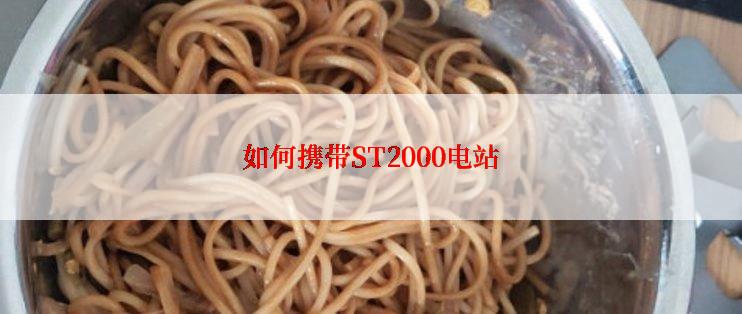 如何携带ST2000电站