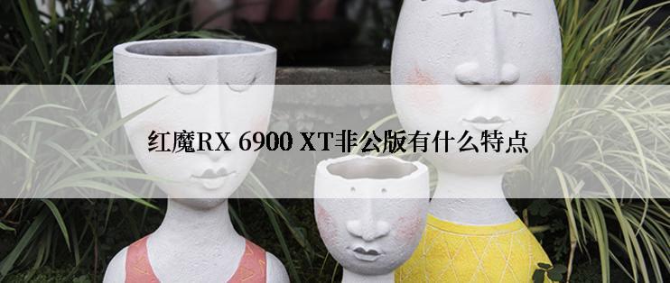  红魔RX 6900 XT非公版有什么特点