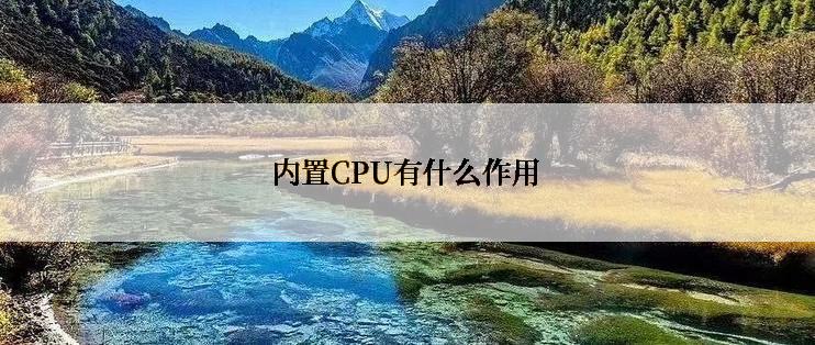 内置CPU有什么作用