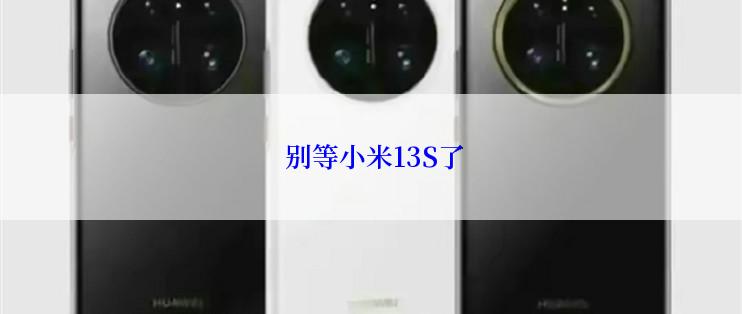  别等小米13S了