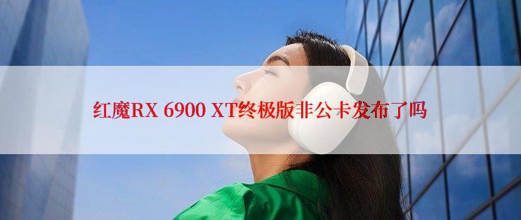 红魔RX 6900 XT终极版非公卡发布了吗