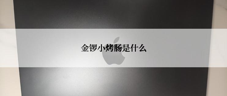 金锣小烤肠是什么