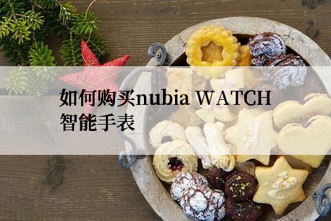 如何购买nubia WATCH智能手表