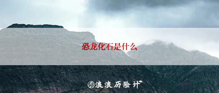 恐龙化石是什么