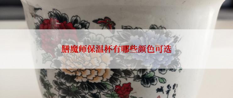 膳魔师保温杯有哪些颜色可选