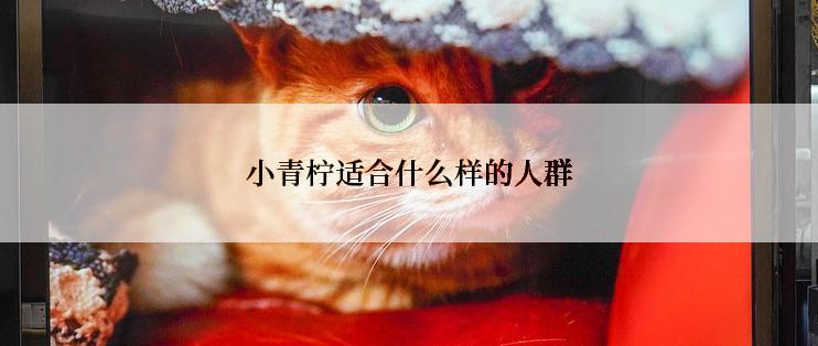 小青柠适合什么样的人群