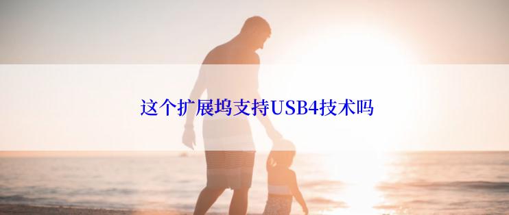  这个扩展坞支持USB4技术吗