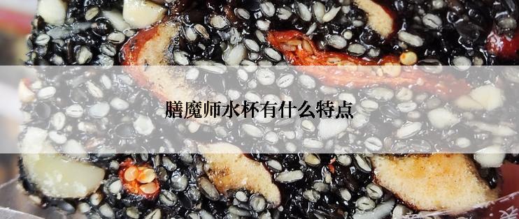 膳魔师水杯有什么特点