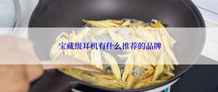  宝藏级耳机有什么推荐的品牌