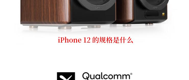  iPhone 12 的规格是什么