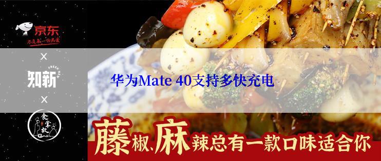  华为Mate 40支持多快充电