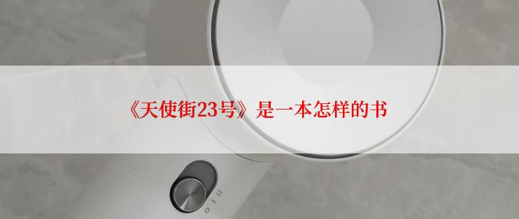 《天使街23号》是一本怎样的书