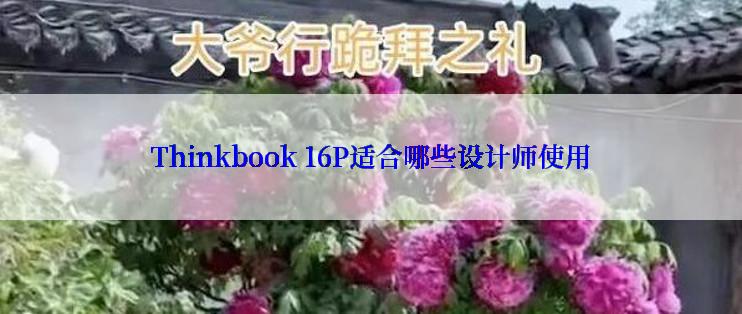 Thinkbook 16P适合哪些设计师使用