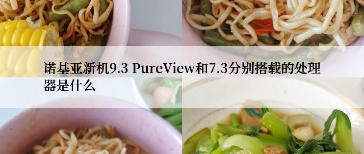 诺基亚新机9.3 PureView和7.3分别搭载的处理器是什么