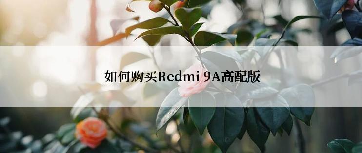  如何购买Redmi 9A高配版