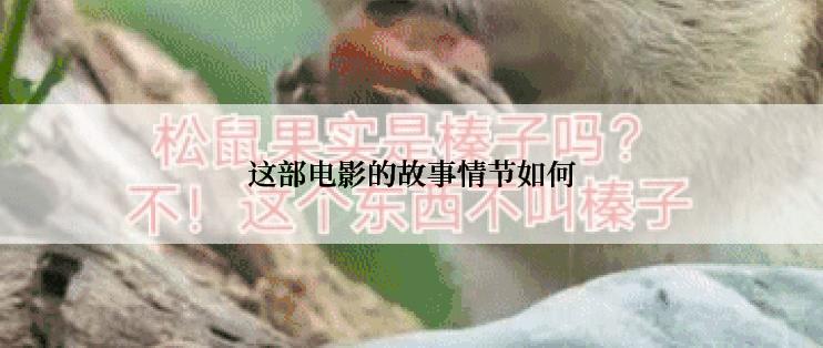 这部电影的故事情节如何