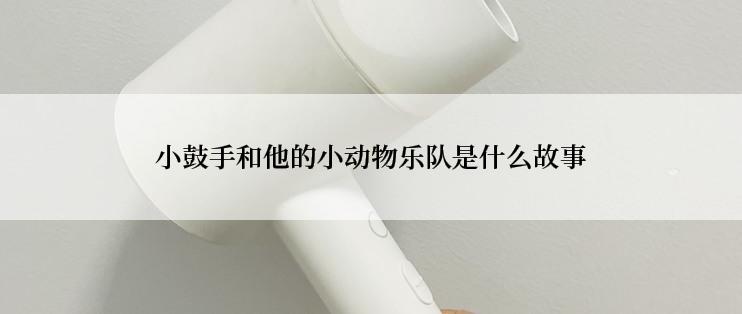 小鼓手和他的小动物乐队是什么故事