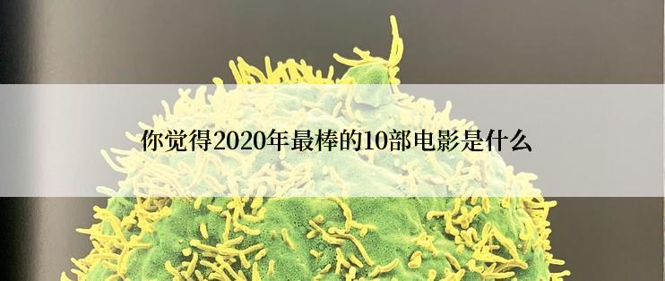  你觉得2020年最棒的10部电影是什么