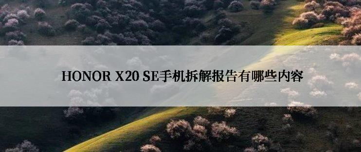  HONOR X20 SE手机拆解报告有哪些内容