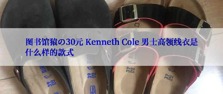 图书馆猿の30元 Kenneth Cole 男士高领线衣是什么样的款式