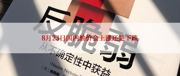 8月23日国内油价会上涨还是下跌