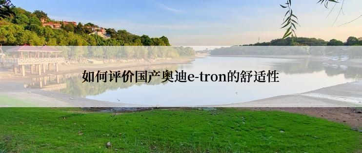 如何评价国产奥迪e-tron的舒适性