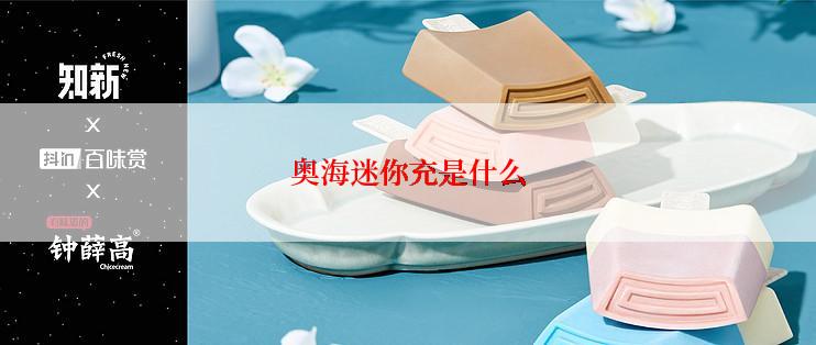 奥海迷你充是什么