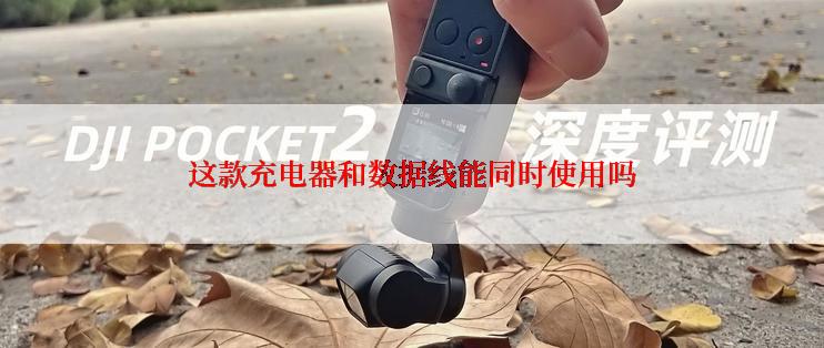 这款充电器和数据线能同时使用吗