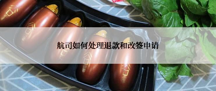 航司如何处理退款和改签申请