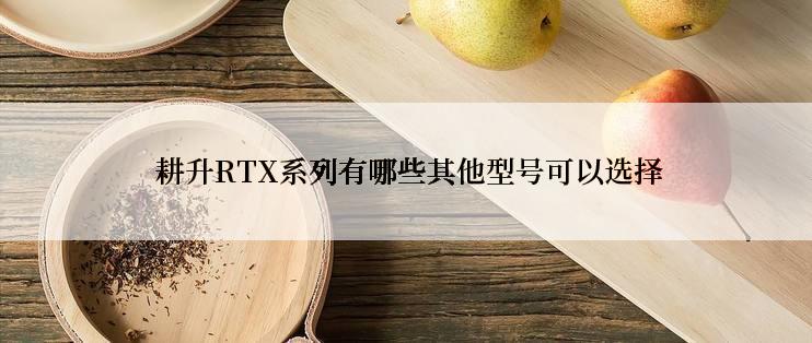  耕升RTX系列有哪些其他型号可以选择