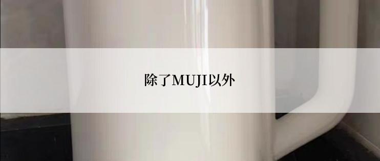 除了MUJI以外