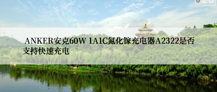  ANKER安克60W 1A1C氮化镓充电器A2322是否支持快速充电