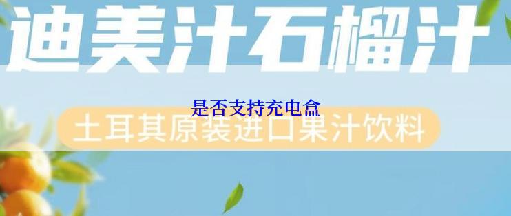 是否支持充电盒