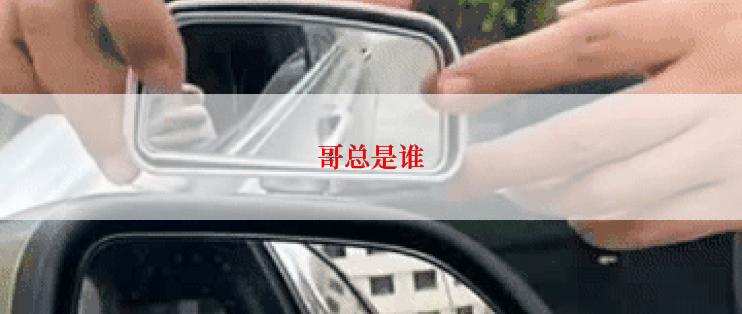 哥总是谁