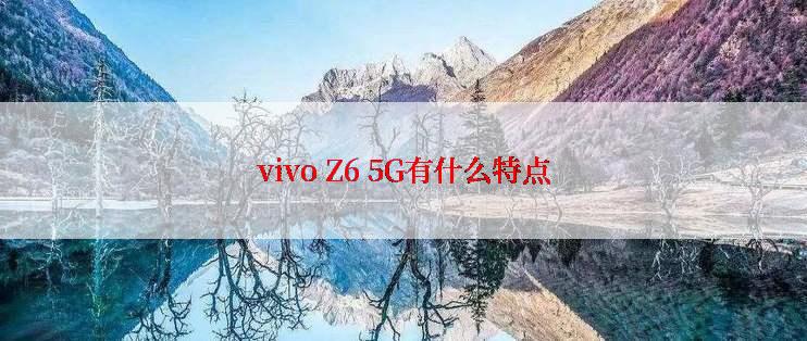 vivo Z6 5G有什么特点