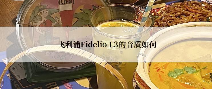  飞利浦Fidelio L3的音质如何