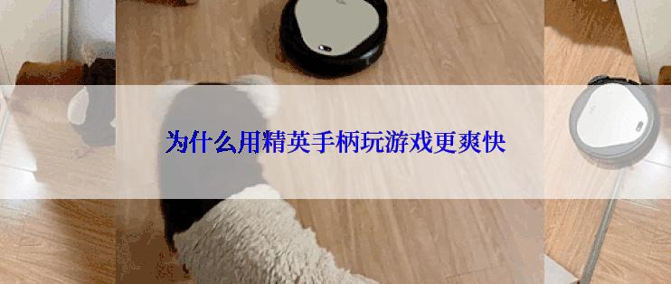 为什么用精英手柄玩游戏更爽快