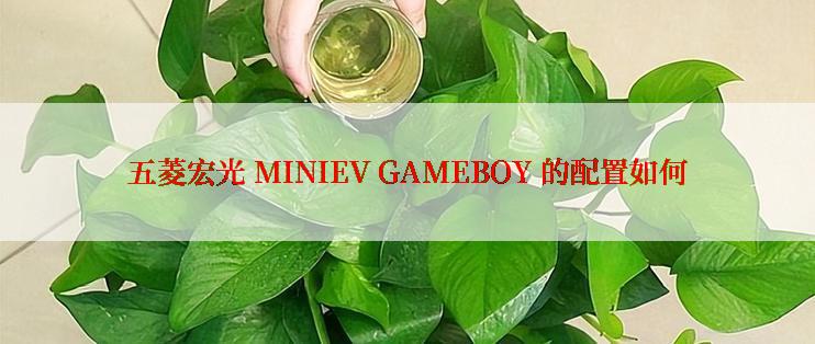 五菱宏光 MINIEV GAMEBOY 的配置如何