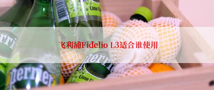  飞利浦Fidelio L3适合谁使用