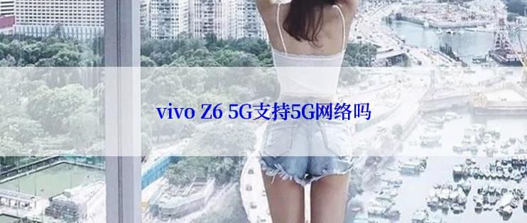 vivo Z6 5G支持5G网络吗