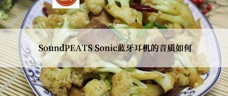  SoundPEATS Sonic蓝牙耳机的音质如何