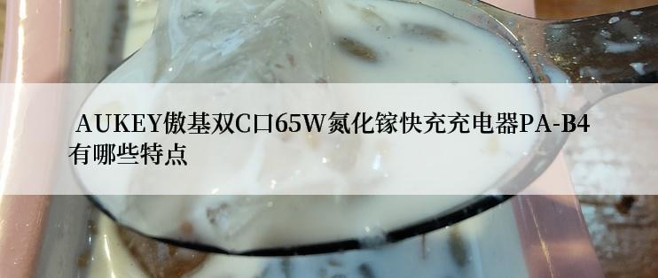  AUKEY傲基双C口65W氮化镓快充充电器PA-B4有哪些特点