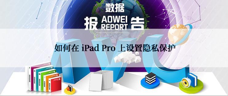  如何在 iPad Pro 上设置隐私保护