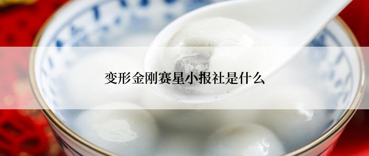 变形金刚赛星小报社是什么