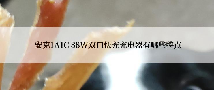  安克1A1C 38W双口快充充电器有哪些特点