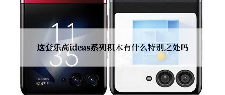 这套乐高ideas系列积木有什么特别之处吗