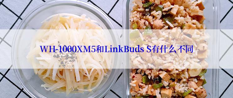 WH-1000XM5和LinkBuds S有什么不同