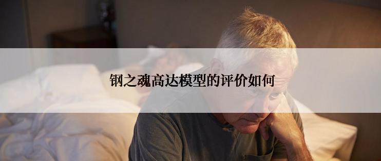  钢之魂高达模型的评价如何