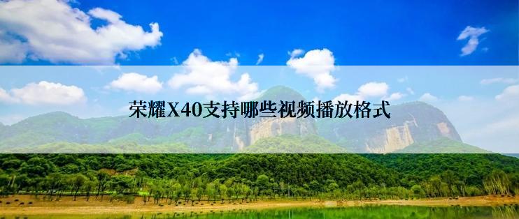 荣耀X40支持哪些视频播放格式